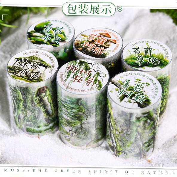 T-104- Forest Moss Series PET tape -6CM*2M